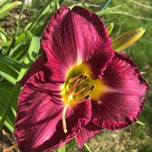 Meet your Posher, Deb